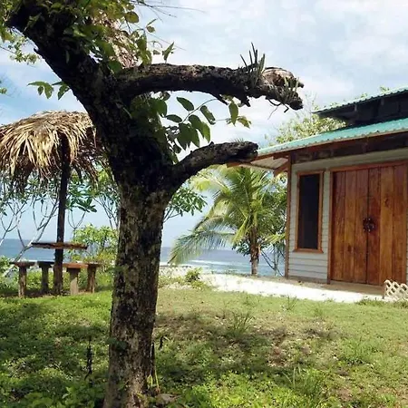 Treetops Inn