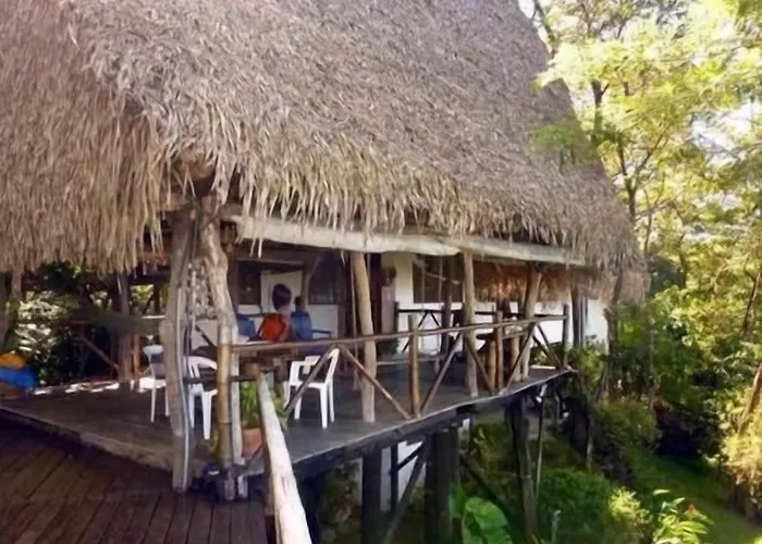 Treetops Bed & Breakfast San Juanillo