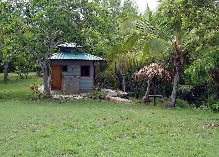Treetops Bed and breakfast San Juanillo