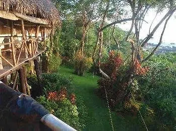 Bed and breakfast Treetops 3*