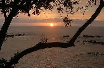 Bed and breakfast Treetops 3*