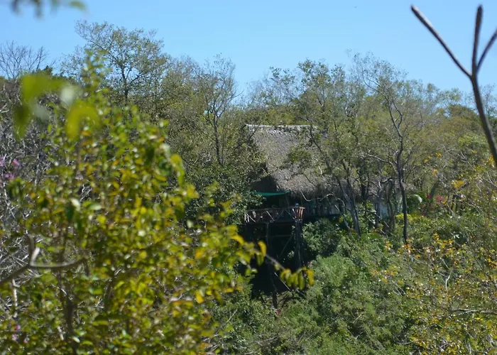 Treetops Bed and breakfast 3*