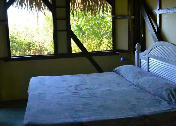 Treetops Bed & Breakfast