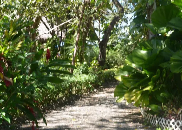 Bed & Breakfast Treetops 3*