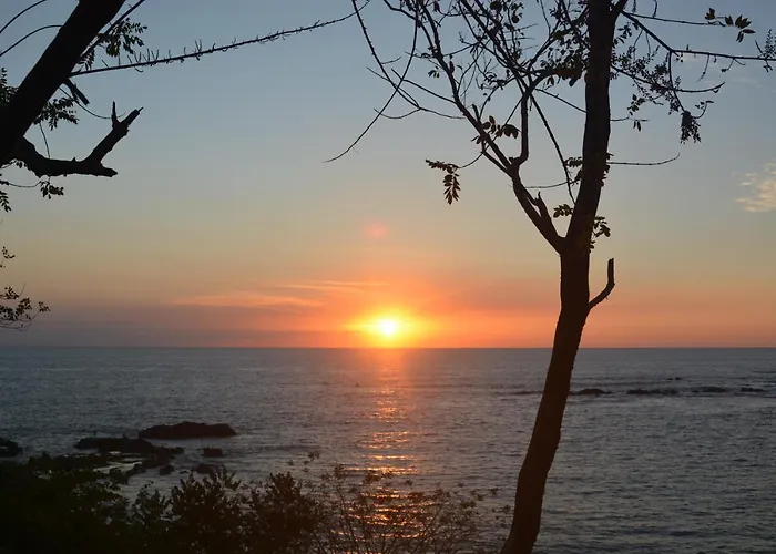 Treetops Bed and breakfast San Juanillo